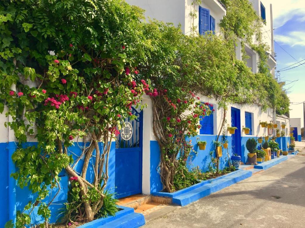 Chez Souad Διαμέρισμα Oualidia Δωμάτιο φωτογραφία